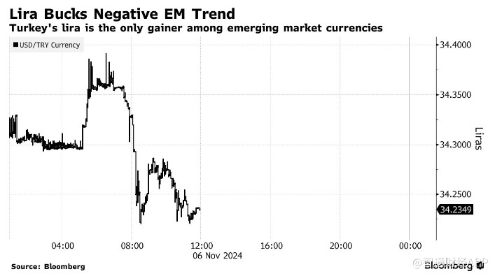 特朗普胜选引爆汇市 土耳其里拉成避风港